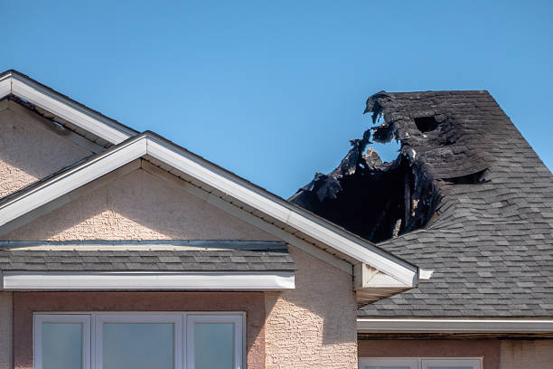 Top rated local Odor Removal specialists in Ferndale, MD